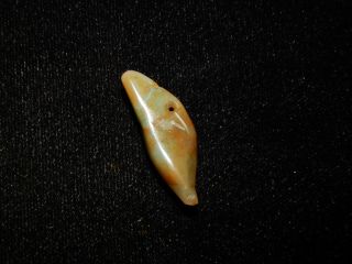 Authentic Pre - Columbian Jade Pendant Bead,  Very Rare Carved Bead,  Costa Rica 2