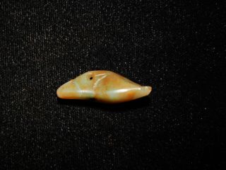 Authentic Pre - Columbian Jade Pendant Bead,  Very Rare Carved Bead,  Costa Rica 6