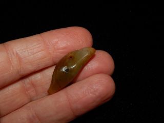 Authentic Pre - Columbian Jade Pendant Bead,  Very Rare Carved Bead,  Costa Rica 9