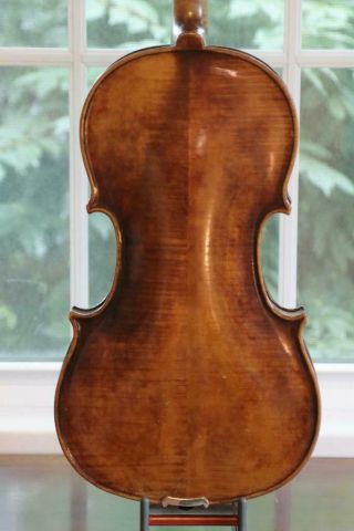 Fine Old Viola 2