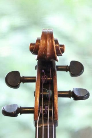 Fine Old Viola 4