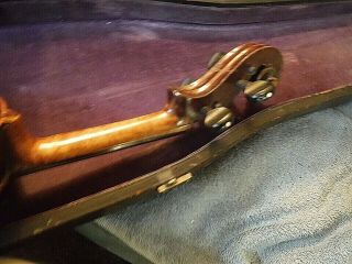 antique 1920s german violin bow case xtra tiger maple full size 3