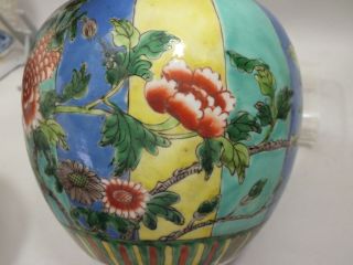 AN UNUSUAL CHINESE FAMILLE - VERTE BULBOUS JAR AND COVER 19TH CENTURY 5