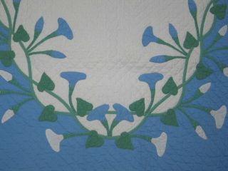 Antique Baby Quilt - Morning Glories Hand Quilted Applique Crib Baby Blue White 3