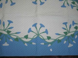 Antique Baby Quilt - Morning Glories Hand Quilted Applique Crib Baby Blue White 5