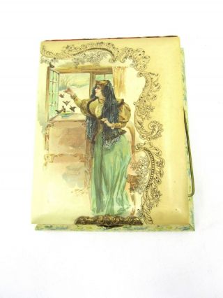 Antique Victorian Era Celluloid Music Box Photo Album With Pictures No Music
