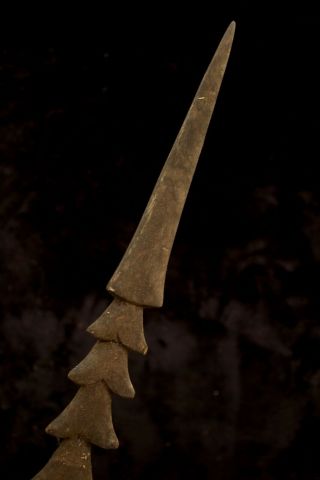 Old Hand Spear - Highlands Guinea 1970 