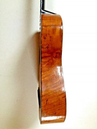 Guitar Antonio Comuni,  Piacenza 1809.  Antica Chitarra Lute Old Ancien Guitarre