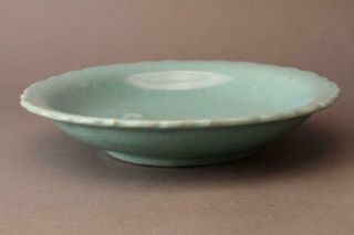 Chinese Song Dynasty Celadon Fish Plate Dish / W 26.  3[cm] 2