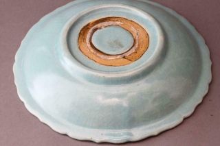 Chinese Song Dynasty Celadon Fish Plate Dish / W 26.  3[cm] 7