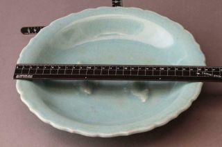 Chinese Song Dynasty Celadon Fish Plate Dish / W 26.  3[cm] 9