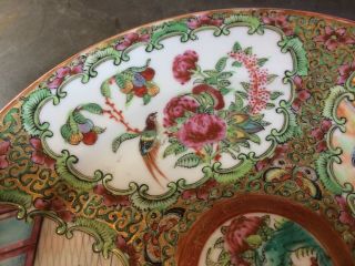 Early 19th Century CHINESE Export ROSE MEDALLION Plate Butterfly ' s Bird 3 2
