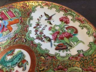 Early 19th Century CHINESE Export ROSE MEDALLION Plate Butterfly ' s Bird 3 4