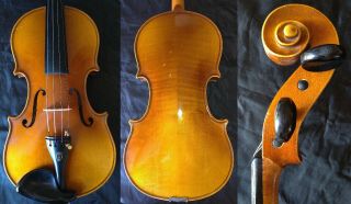 Fine 4/4 Old Antique German Violin Lab.  Adolf Sprenger Fiddle Fleur De Lis Tulip