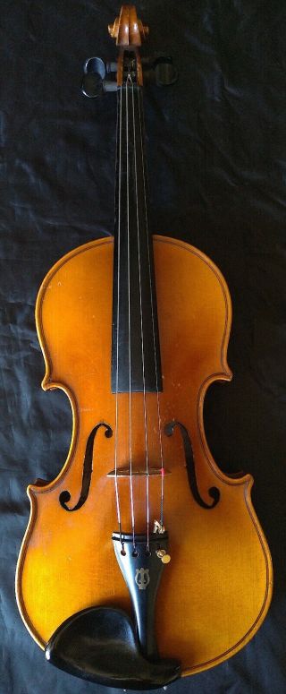 FINE 4/4 OLD ANTIQUE GERMAN VIOLIN Lab.  Adolf SPRENGER fiddle Fleur de Lis Tulip 4