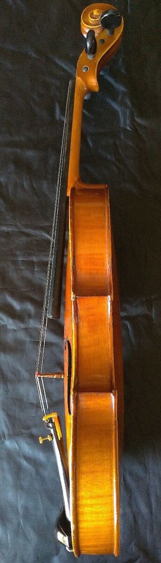 FINE 4/4 OLD ANTIQUE GERMAN VIOLIN Lab.  Adolf SPRENGER fiddle Fleur de Lis Tulip 5