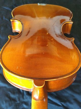 FINE 4/4 OLD ANTIQUE GERMAN VIOLIN Lab.  Adolf SPRENGER fiddle Fleur de Lis Tulip 7