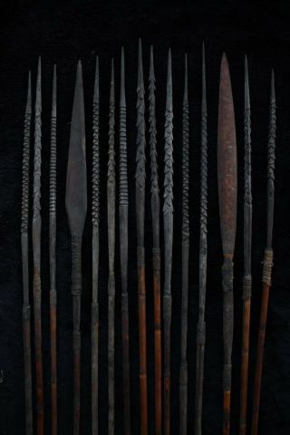 Group Of Fifteen Hunting Arrows - Highlands Papua Guinea 1970 