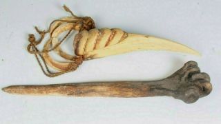 OLD Guinea Cassowary Bone Dagger & Boar Tusk Prestige Necklace 2