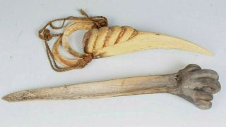 OLD Guinea Cassowary Bone Dagger & Boar Tusk Prestige Necklace 3