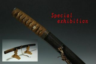 Japanese Antique Edo Raden Wakizashi Koshirae Busho Samurai Sword Yoroi Kabuto