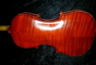 Antique Violin Old Label