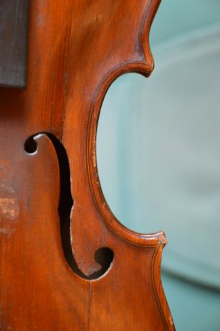 Old Violin,  Italian writing inside GAGLIANO 1802,  from an estate 5