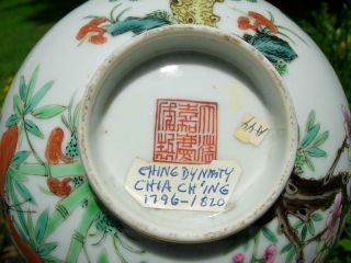 ANTIQUE CHINESE FAMILLE ROSE BOWLS WITH BUTTERFLIES,  JIAQING MARK 11