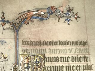 Medieval Manuscript Leaf On Vellum C.  1360 Dragon Illumination