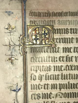 Medieval Manuscript Leaf On Vellum C.  1360 Dragon Illumination 2