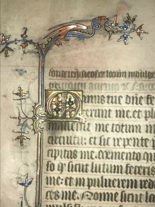 Medieval Manuscript Leaf On Vellum C.  1360 Dragon Illumination 4
