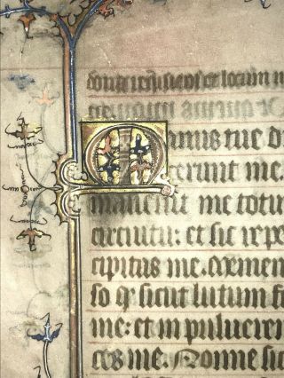 Medieval Manuscript Leaf On Vellum C.  1360 Dragon Illumination 5