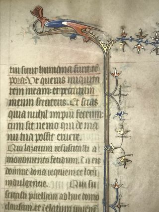 Medieval Manuscript Leaf On Vellum C.  1360 Dragon Illumination 6