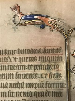 Medieval Manuscript Leaf On Vellum C.  1360 Dragon Illumination 7