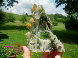 OLD CHINESE WHITE,  RUSSET & MOTTLED GREEN JADEITE JADE WASHER W MANTIS 3