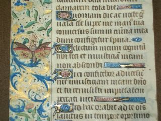 Illuminated Medieval Manuscript Vellum Boh Leaf W/ Butterfly Miniature,  C.  1470