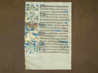 Illuminated Medieval Manuscript Vellum BOH Leaf w/ Butterfly MINIATURE,  c.  1470 2