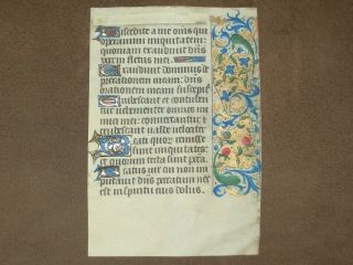Illuminated Medieval Manuscript Vellum BOH Leaf w/ Butterfly MINIATURE,  c.  1470 3