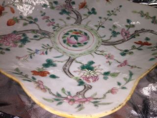 Antique Chinese Famille Rose Footed Dish Plate Qing Dynasty 6