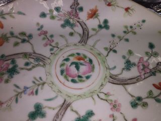 Antique Chinese Famille Rose Footed Dish Plate Qing Dynasty 8