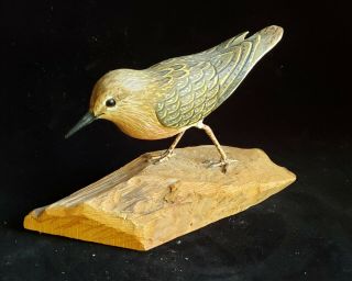 Buff Breasted Sandpiper,  Wood Shore Bird By W Reim,  Jersey Carving,  Decoy