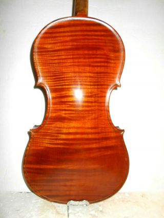 Antique Vintage Old " W.  Wilkanowski - Stradiuarius " 1 Pc.  Back Full Size Violin