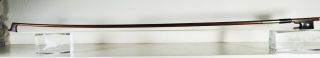 Old violin bow stamped Albert Paquotte A Paris weight 62.  5g.  in immediately play 7
