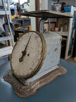 Antique Scale Columbia Family Landers Frary Clark 24 lb Pat 1907 Rustic Kitchen 6