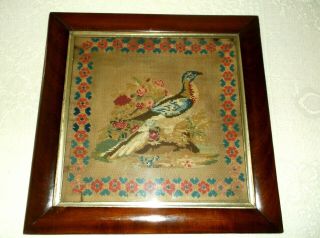 Rare Antique 19th C Woolwork Sampler Of An Exotic Bird In Frame,  1863