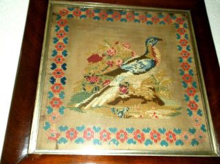 RARE ANTIQUE 19TH C WOOLWORK SAMPLER OF AN EXOTIC BIRD IN FRAME,  1863 2