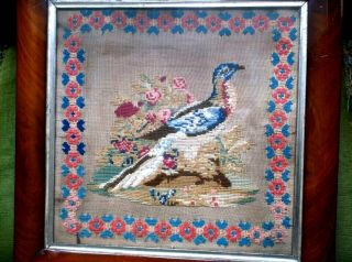 RARE ANTIQUE 19TH C WOOLWORK SAMPLER OF AN EXOTIC BIRD IN FRAME,  1863 5