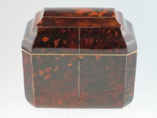 Antique 19th Century Faux Tortoiseshell Tea Caddy Circa 1820 2