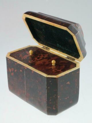Antique 19th Century Faux Tortoiseshell Tea Caddy Circa 1820 4