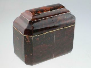 Antique 19th Century Faux Tortoiseshell Tea Caddy Circa 1820 5